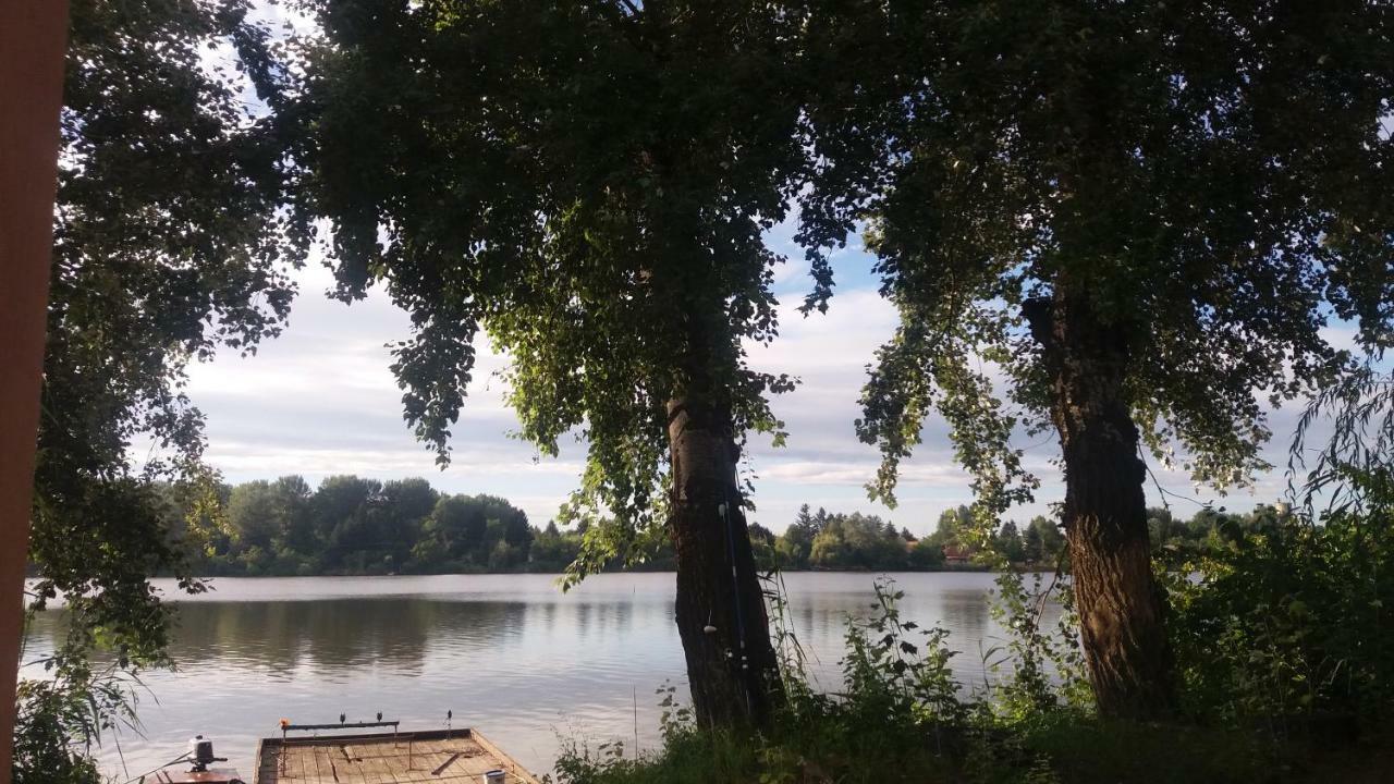 Neptun Domsod